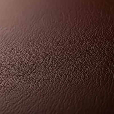 Imagen PNG para descargar